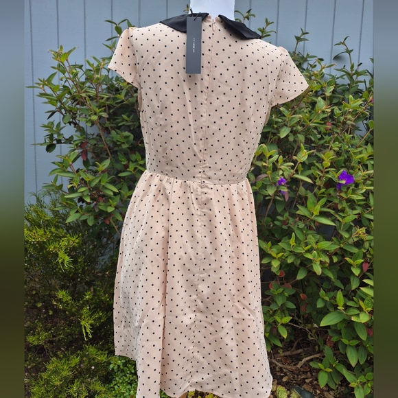 Polka Dot Peter Pan Collar Dress. By Allegra K Size XS - Picture 3 of 6